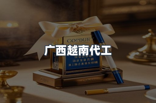 广西越南代工